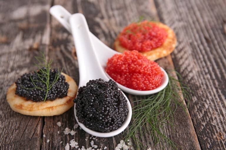 De qué pez es el caviar: Todo lo que necesitas saber