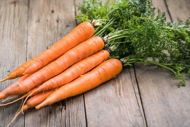 10 beneficios de la zanahoria cruda: ventajas para la salud