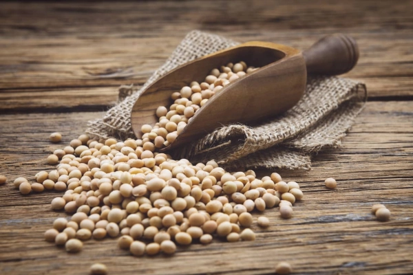Incorporar proteínas de soja a sus recetas