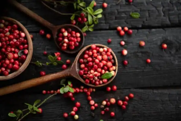 Los arándanos rojos y sus beneficios