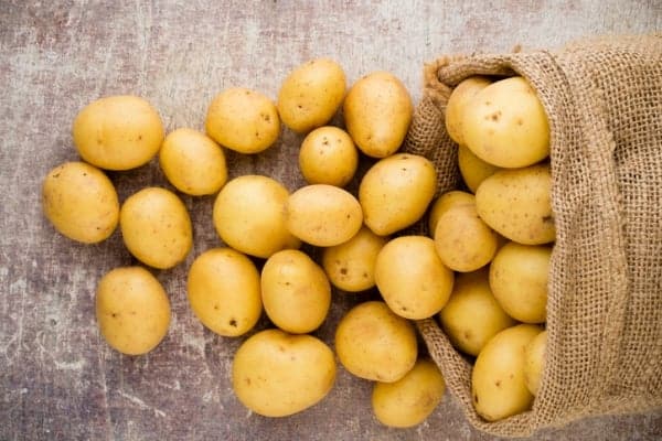 ¿Cómo deben almacenarse las patatas?